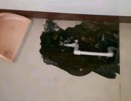 龙井卫生间测漏水多少钱